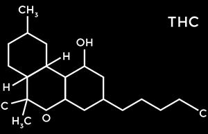 Porém o Δ9-THC também apresenta alguns efeitos adversos como alterações na memória e na cognição, euforia, depressão e sedação (HONÓRIO;