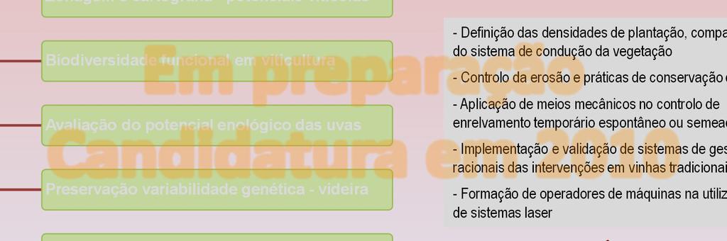 Projectos Âncora Investigação e Desenvolvimento Experimental - I&DE Objectivos Principais actividades Impacto das alterações climáticas no Douro Zonagem e cartografia - potenciais vitícolas