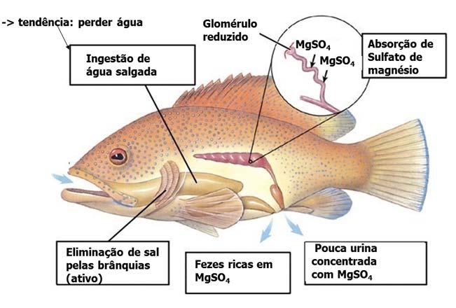 2018 CURSO DAS PARTICULARES TURMA DE