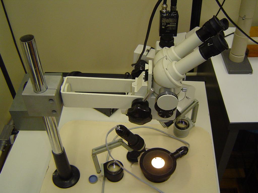 69 Figura 17 - Estereomicroscópio de iluminação transmitida e incidente com câmera de vídeo acoplada. Fonte: Dados da pesquisa.
