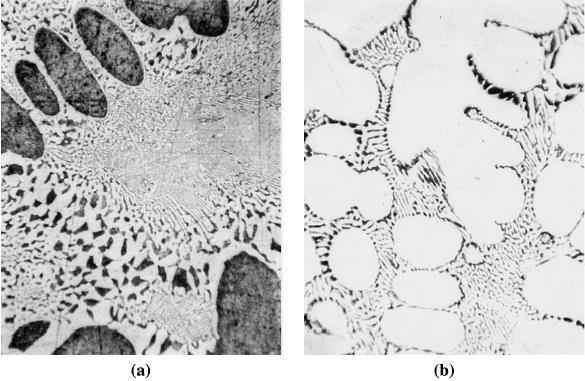 (a) Microestrutura de uma liga Pb Sn hipoeutética. (b) Microestrutura de uma liga Pb Sn hipereutética.