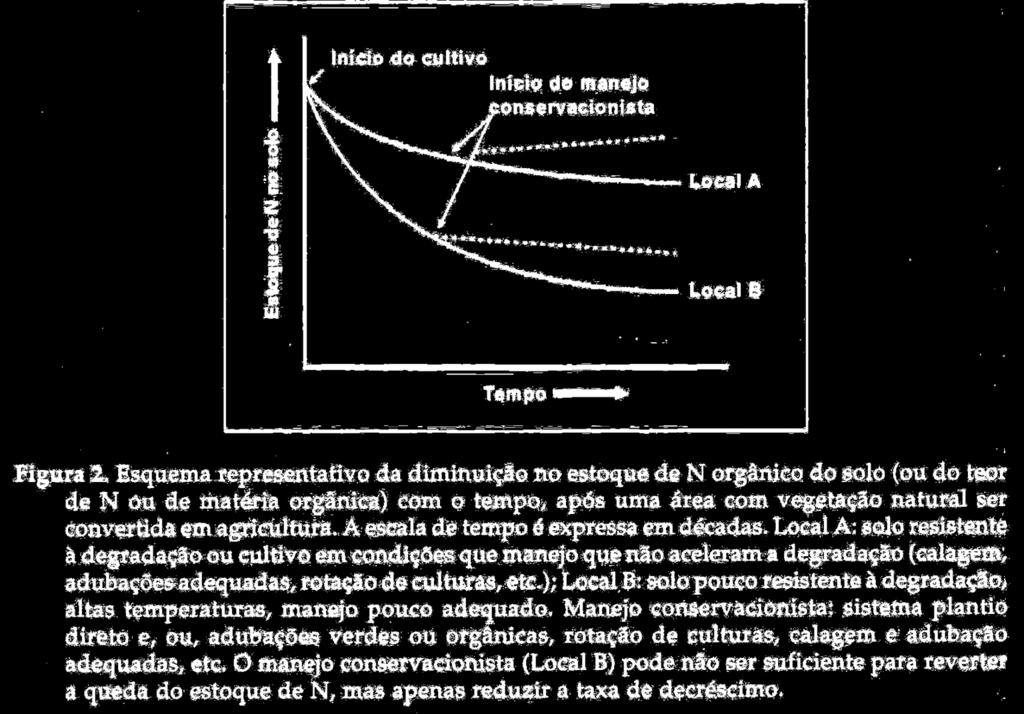 Manejo do Sistema de Produção do Algodão nos Diferentes Ambientes de