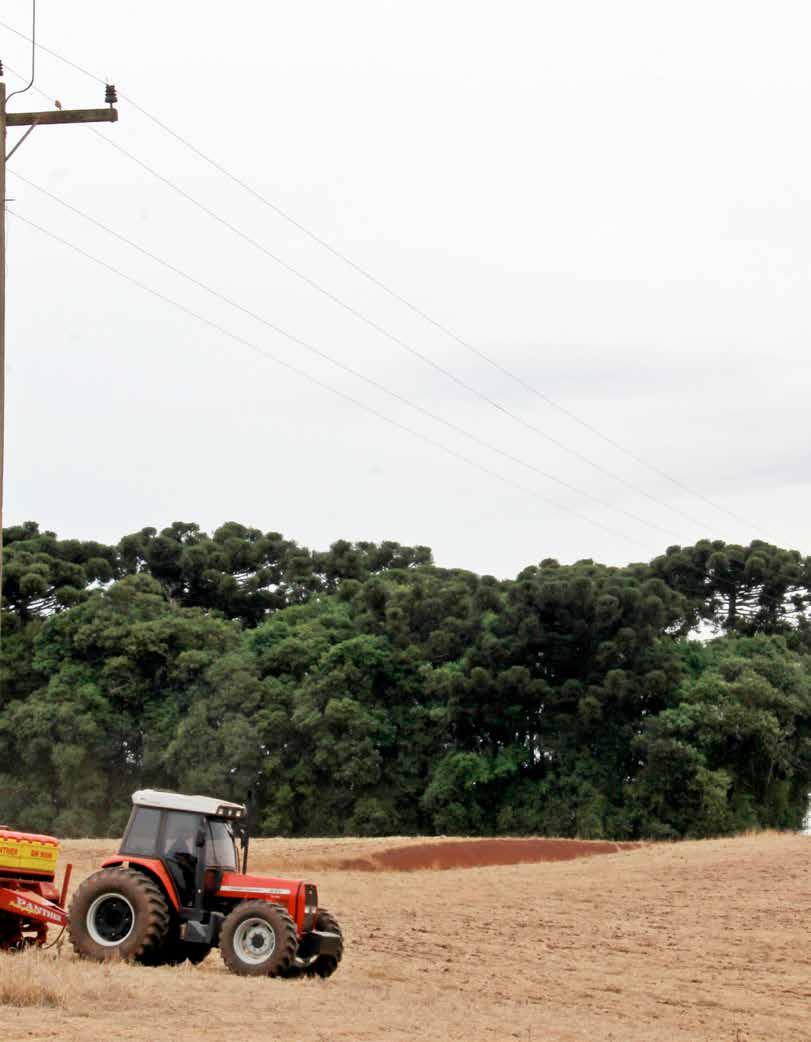 Coprel alerta para o cuidado ao trabalhar com máquinas próximo às redes de energia Ocorrências de acidentes aumentam nos períodos de plantio e colheita Para levar energia ao interior, ou de uma