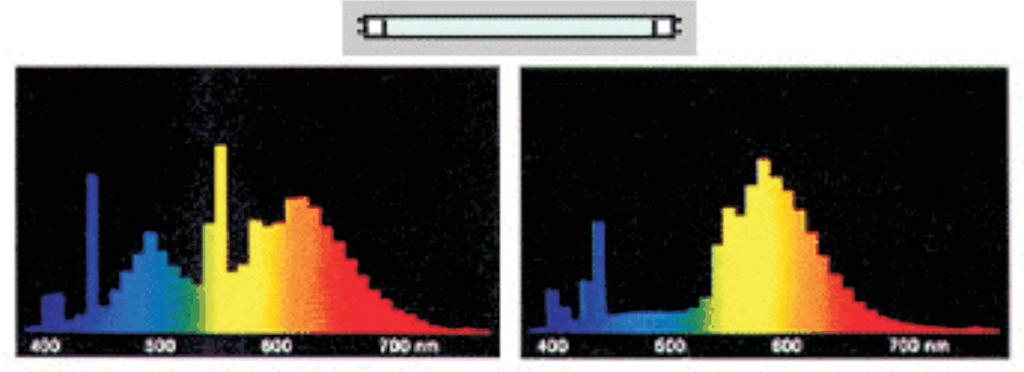 Exemplos de distribuição espectral de lâmpada fluorescente tubular
