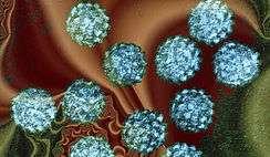 Papilomavírus O diagnóstico da infecção pelo HPV se baseia na pesquisa do genoma viral em tecido, p.