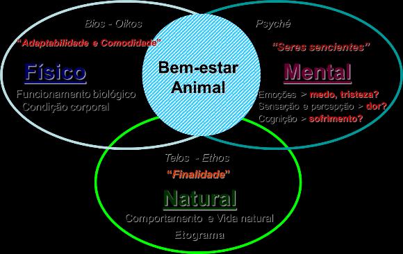 Figura 1: Áreas do bem-estar animal.