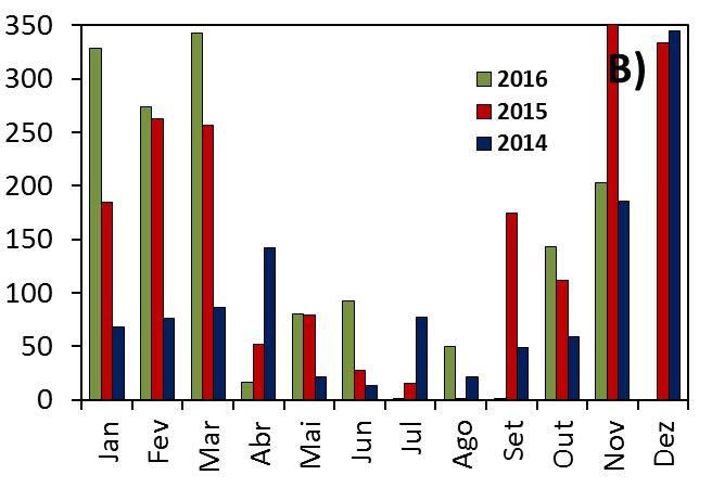 Figura 3: Precipitação pluviométrica média mensal (mm) do período de 1974-1985, 2006-2013 (A) e dos anos de 2014, 2015 e 2016 (B) para a região do Sul de Minas, Muzambinho, MG.