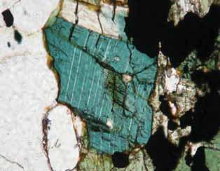 C e D (polarizadores cruzados): Fotomicrografia exibindo estrutura isotrópica do Anfibólio-fels, e seus minerais: Anfibólio indefinido e de aspecto maciço (Anf); Tremolita (Tr) e quartzo (Qz)
