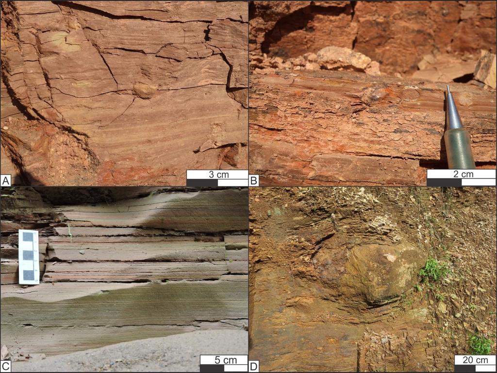 60 Figure 13: Field photos of facies association D. A and B) Small dropstones in rhythmites. C) Dropstone-free, thinly laminated mudstone.