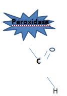 OXIDAÇÃO DA PEROXIDASE Peroxidase Peroxidase H H Álcool C O H NaIO4