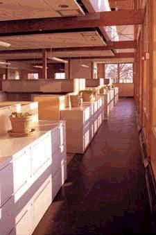 element in the passive solar design; low partitions bring in as much light as