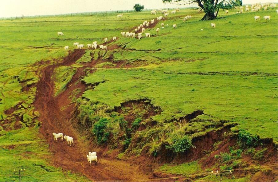 Processos erosivos do solo Erosão: