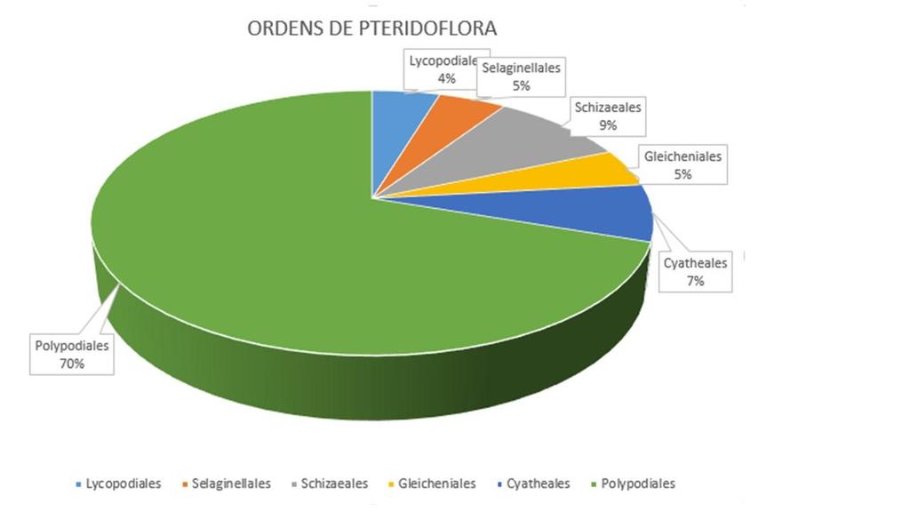 17 Figua 3. Gráfico relacionando ordens e porcentagem de espécies encontradas. As licófitas (Lycopodiales e Selaginellales) representam menos de 1% das plantas vasculares sem sementes (PRYER et al.