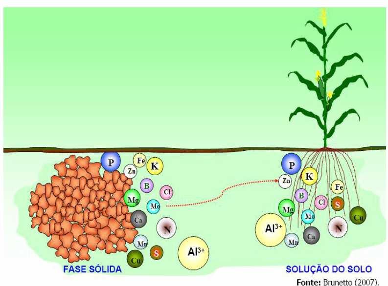 serem fornecidos por meios artificiais, através de fertilizantes.