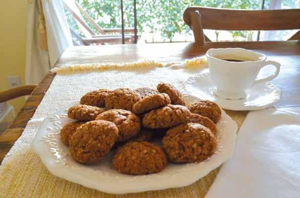 Cookies A linha cookies é composta por biscoitos doces e tradicionais, feitos com verdadeiros pedaços de seus ingredientes principais.