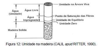 2.1. TEOR DE UMIDADE A umidade da madeira é determinada pela expressão onde m 1 é a massa úmida, m 2 a massa seca e w é a umidade (%).