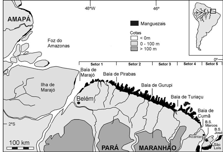 46 A mesorregião nordeste do Pará possui vasta costa de manguezais e está inserida na CMMA.