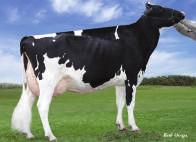 0 836p Avô M: De Su Observer ET TY VG 86 Avó M: Pine Tree Diehard Sharla ET VG 88 12/2016 PROVA PRODUÇÃO GENÓMICA NM$ +475 Leite +270 80%R Mérito Fluído $ +438 Gordura +20 +0.