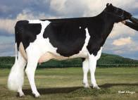 Planet x O Man Mãe: Opsal Planet Fame ET Pai: De Su Bkm Mccutchen 1174 ET TY Mãe: Opsal Planet Fame ET VG 86 02 03 2x 365d 34520m 3.7 1288f 3.