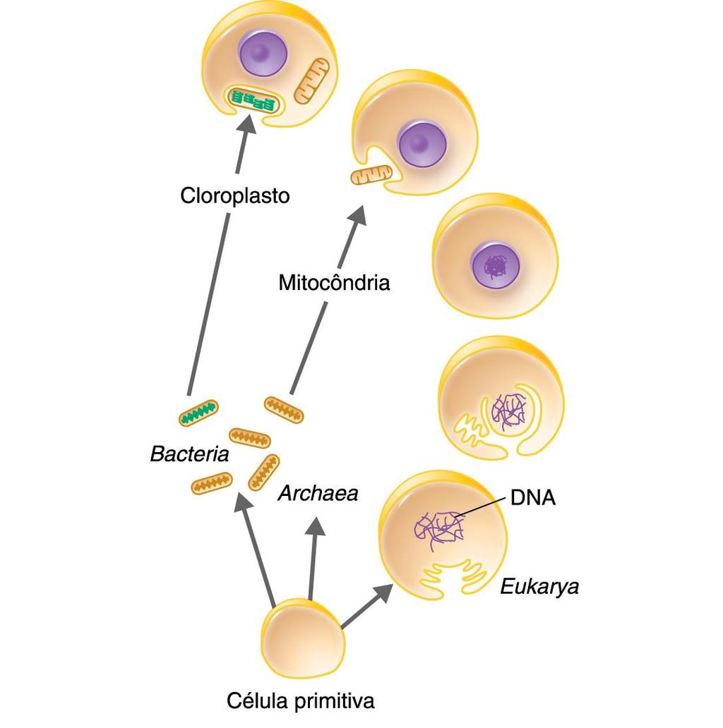 Teoria