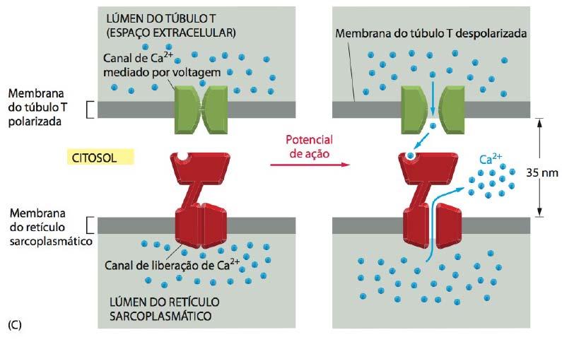 INTERAÇÃO