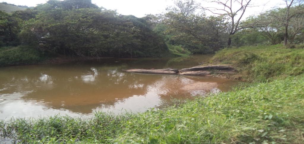 2 Rio: Buquira O rio Buquira tem um cheiro ruim, aparentemente é poluído, e é bem diferente do Vidoca, pois é mais largo e está abaixo do nível por conta