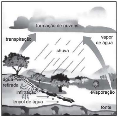 3 d) As mudanças ocorridas com a água, com mostra a ilustração só é possível devido a presença de?