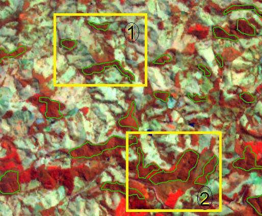 2.5 Detalhamento das classes da Legenda - Remanescentes Florestais - Mata O Atlas identifica formações florestais naturais equivalentes às matas primárias e secundárias em estágios inicial, médio e