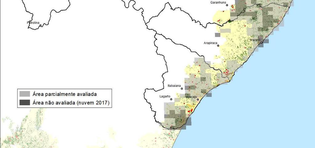 identificados no período de