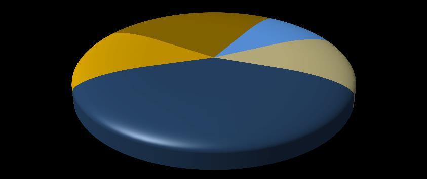 Raio X - Indenizações Pagas por Morte e Invalidez por Acidentes com por Tipo de Vítima - Motorista 262.623 73% Pedestre 43.217 Passageiro 53.