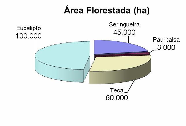 Área plantada (ha) Espécie 2006 2010 Eucalipto 37.932 100.000 Teca 48.526 60.000 Seringueira 44.896 44.896 Pau de balsa 0 3.000 Outras 14.144 14.144 TOTAL 145.498 222.040 Fonte: AREFLORESTA (2011).