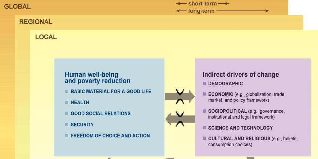 Vectores de mudança e interrelações Bem-estar da humanidade Serviços de Ecossistemas Vectores indirectos Vectores indirectos Vectores indirectos