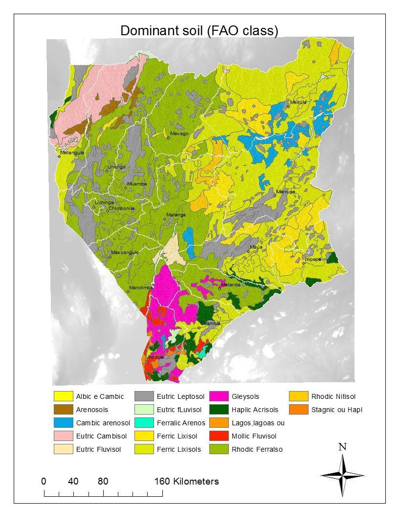 6. Tipo de solo (classes FAO) Arenosols: ter uma textura é argilosa areia Grandes concentrações de fluvisol são encontradas ao longo dos rios e lagos e têm teor de matéria orgânica de alta