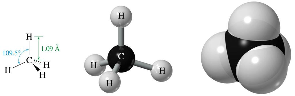 A hibridização do Carbono 3 (sp ) A hibridização sp3 do C permite o