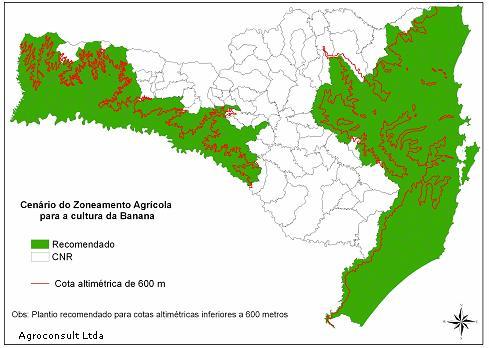 Número de municípios, área total com potencial para a cultura, total de área cultivado com banana para o zoneamento atual e para o zoneamento com cenário para o Estado de Santa Catarina.