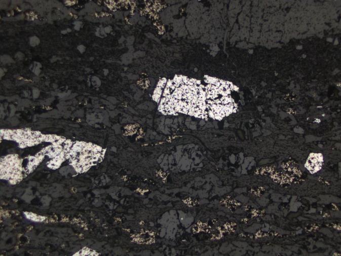 Petrogenética Fotomicrografia de textura típica da zona mineralizada em ouro (granada-biotita-quartzo xisto com sulfetos) da amostra WF-AM01.