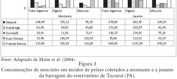 PIRÂMIDES DE ENERGIA CONS.SEC. ENERGIA DISSIPADA EM FORMA DE CALOR CONS. PRIM.