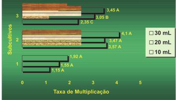 Multiplicação in vitro do Abacaxizeiro Ornamental, Ananas comosus var.