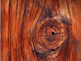 21 Assim, a dureza é a resistência que a madeira opõe à penetração de ferramentas ou outros corpos. Também pode ser relacionada com a densidade, idade, estrutura e sentido de trabalho.
