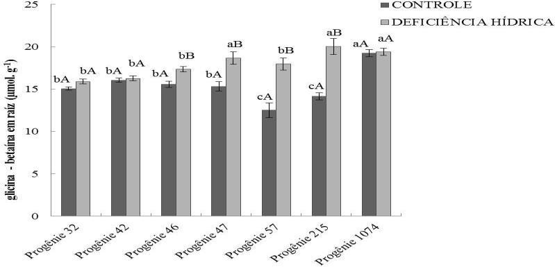 Figura 2 - Concentração de prolina (A folhas; B raízes) de progênies de Theobroma grandiflorum, submetidas à deficiência hídrica.