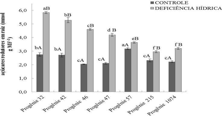 Letras minúsculas distintas indicam diferenças estatísticas (p<0,05), entre as progênies na mesma condição hídrica, e letras maiúsculas distintas representam diferenças estatísticas entre os