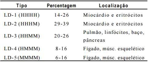 formado por quatro subunidades chamadas H (de heart) para a cadeia polipeptídica cardíaca e M (de muscle) para a cadeia polipeptídica muscular esquelética.