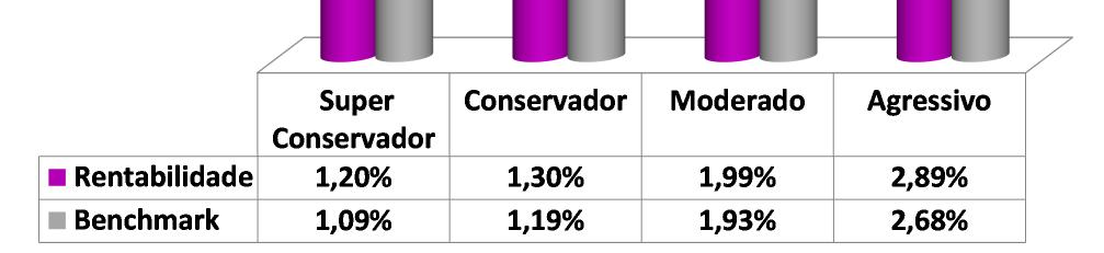 Moderado: O perfil moderado, beneficiado pela alta da bolsa, em janeiro apresentou um retorno de 1,99%, acima de seu respectivo