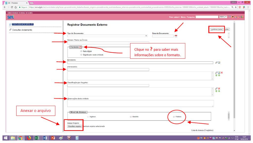 DATA DO DOCUMENTO: Inserir a data do dia ou a data da criação do documento. NÚMERO / NOME NA ÁRVORE: Informe o nome do documento (opcional).