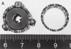 H.L.A. DEFINO & A.C. SHIMANO Fig. 1 es vertebrais utilizados no estudo. À esquerda, espaçador com anel interno e, à direita, sem anel interno.
