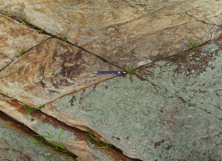 A orientação dessas estruturas é aproximadamente transversal às dobras D1 e paralelas às fraturas de cisalhamento transcorrentes R e R (Foto 19), por isso são esperadas de serem preenchidas por