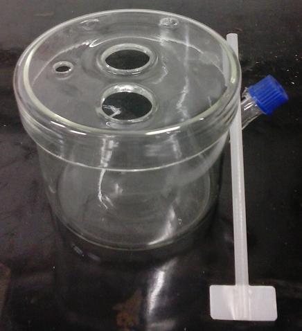 121 Figura 36 - Reator utilizado nos testes respirométricos, (a) reator e haste para mistura, (b)