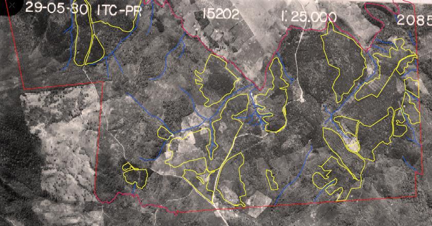 Fundiário Analise de Novas Aquisições Supressão de Madeira pós 1994 Caso - Corte de Araucárias Nesta propriedade foram identificados diversos maciços florestais de Araucária,