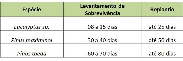 Inventário Florestal IFS Inventário Florestal de Sobrevivência 1º levantamento: contagem das mudas na 10ª linha Avaliação: índice de