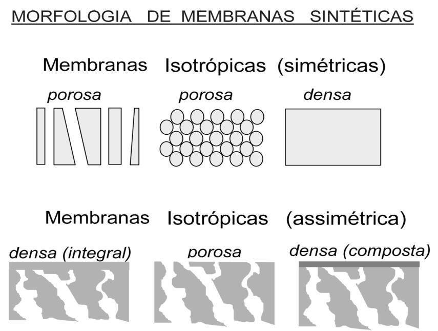 Figura 2 - Representação esquemática da seção transversal dos diferentes tipos de morfologia de membranas sintéticas (HABERT et al., 1997).